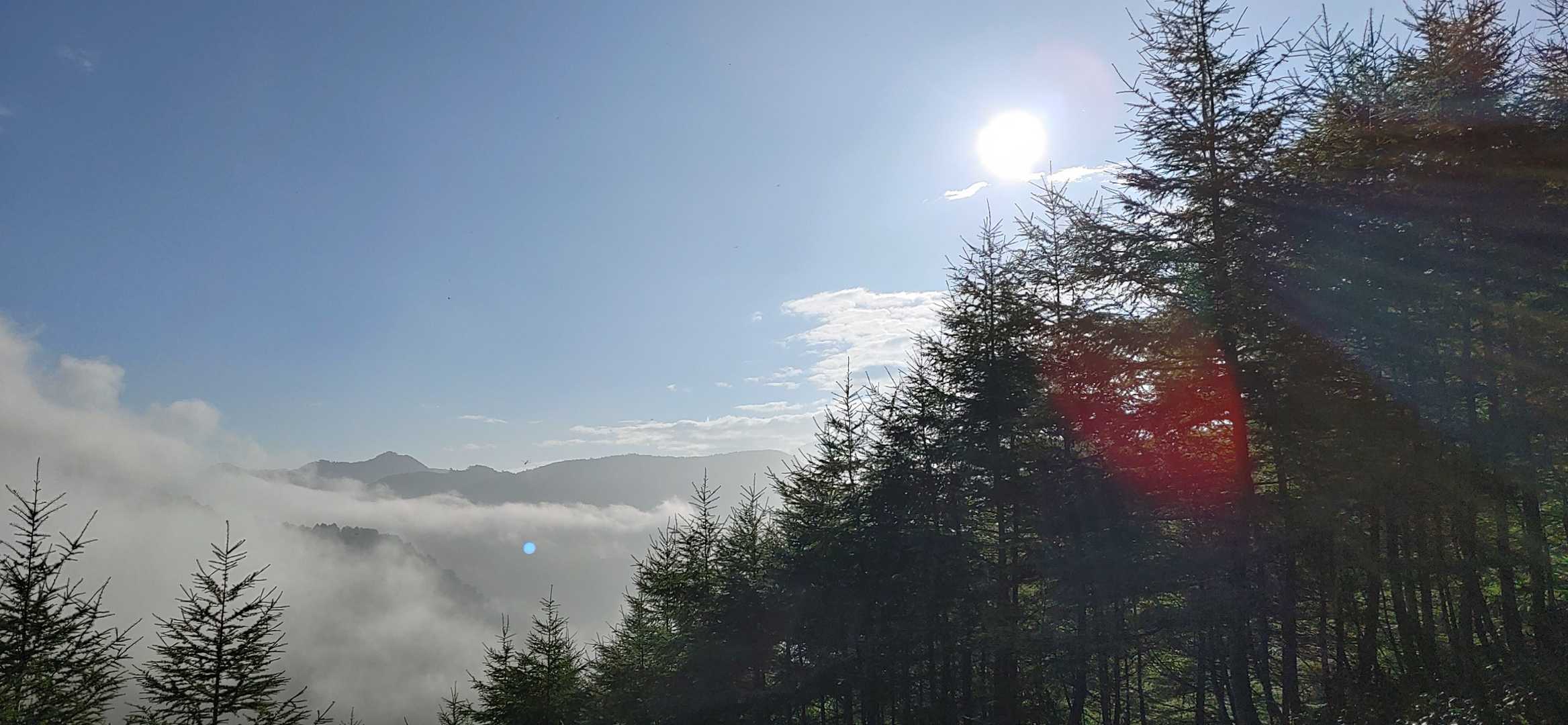 朝の風景に励まされて頑張って登ります！