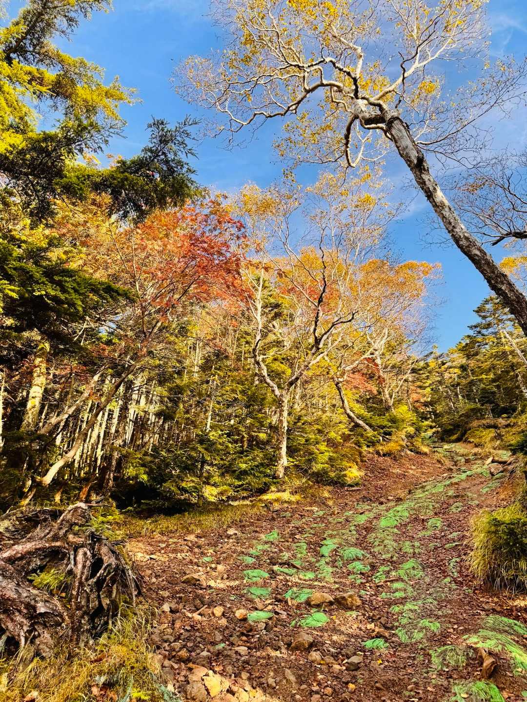 瀧尾神社-奥宮-男体山-登拝門-二荒山神社中宮 縦走コースの写真