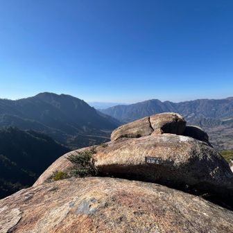 景色最高ですなー