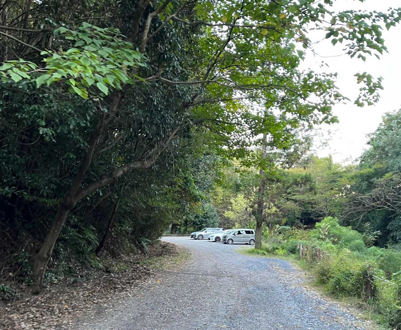 駐車場🅿️
まだ他に車停まってるね

ちょこっと鳩吹山⛰️楽しかった
ありがとうございました❣️