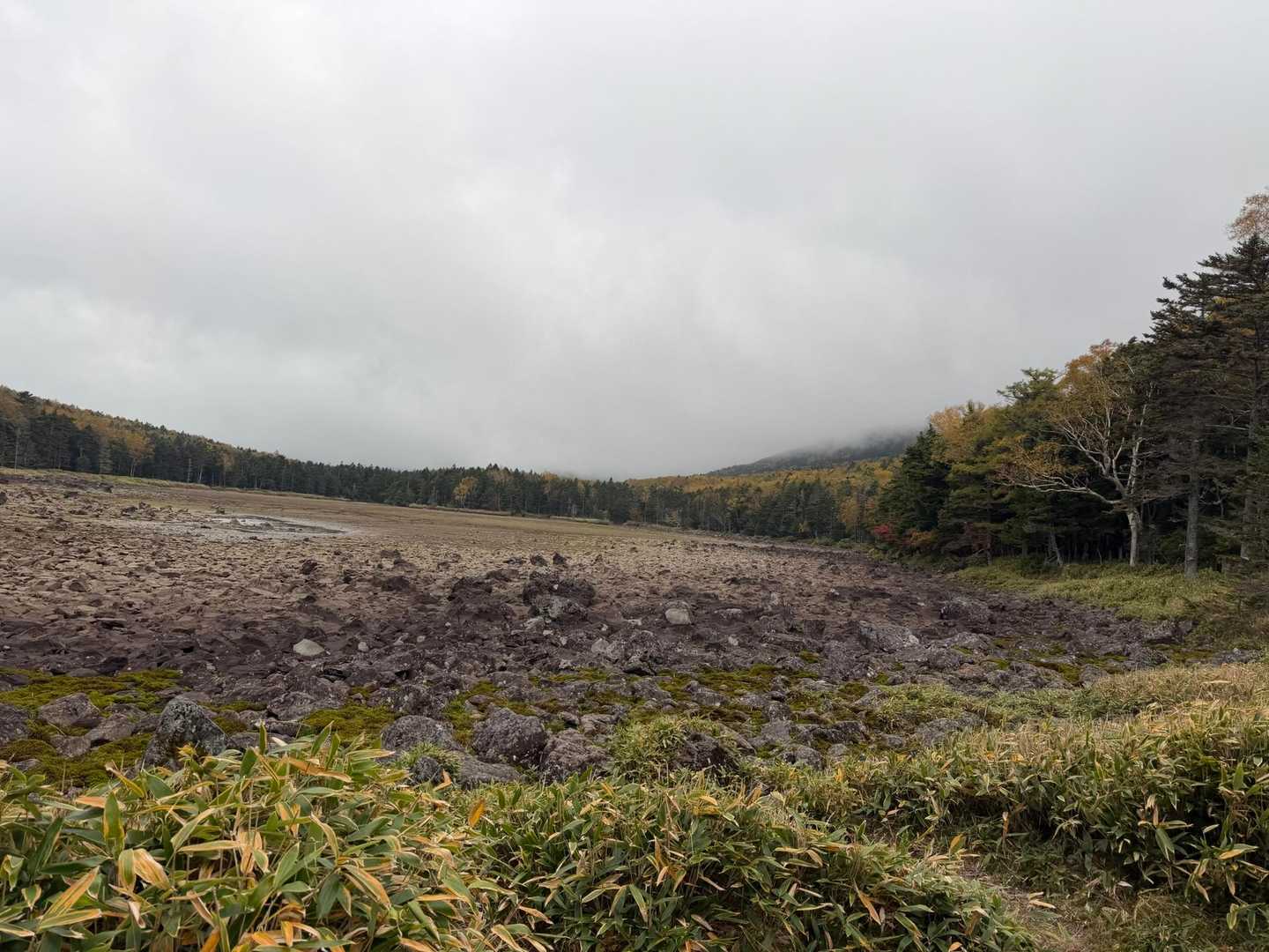 雨池 水溜まり程度の水