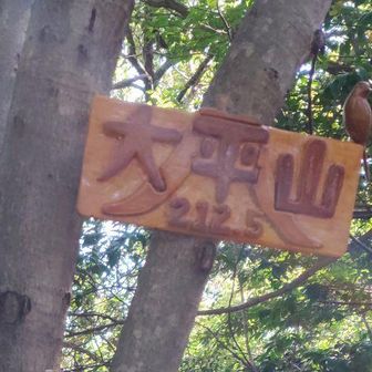 大平山
展望なし。
