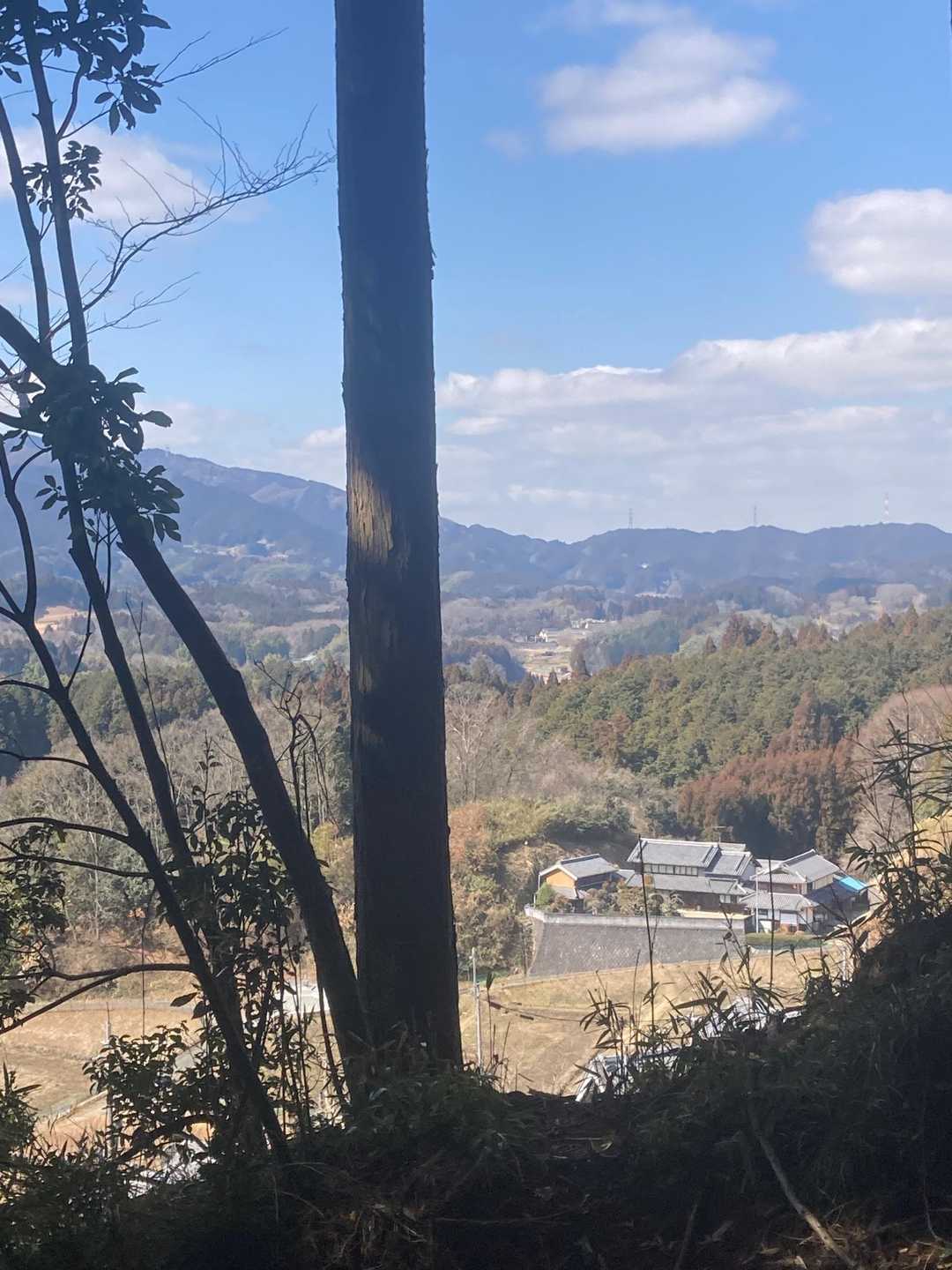 伊那佐山 往復コースの写真