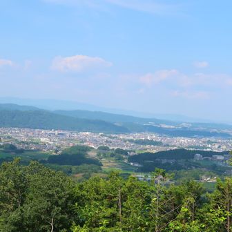 設置してあった双眼鏡で見たけど…やっぱり確認出来ず! 今の時期は無理なのか…