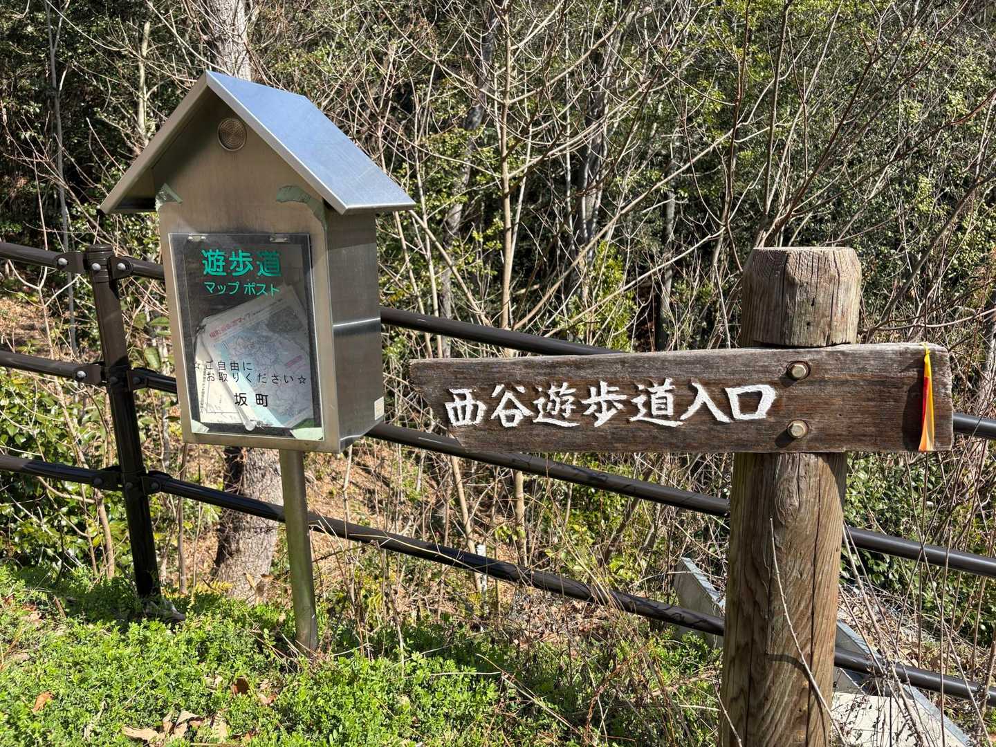 さあ、ここからは、