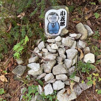 尾根に入ると小五郎はサラリーマン。その後、最後の小七郎はおじいちゃん。