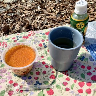 買ったコップが役に立つ。梅酒をお湯で割って飲んだ。