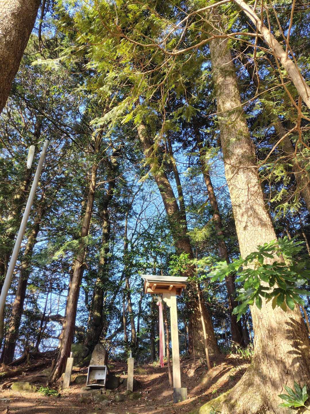都介野岳 往復コースの写真