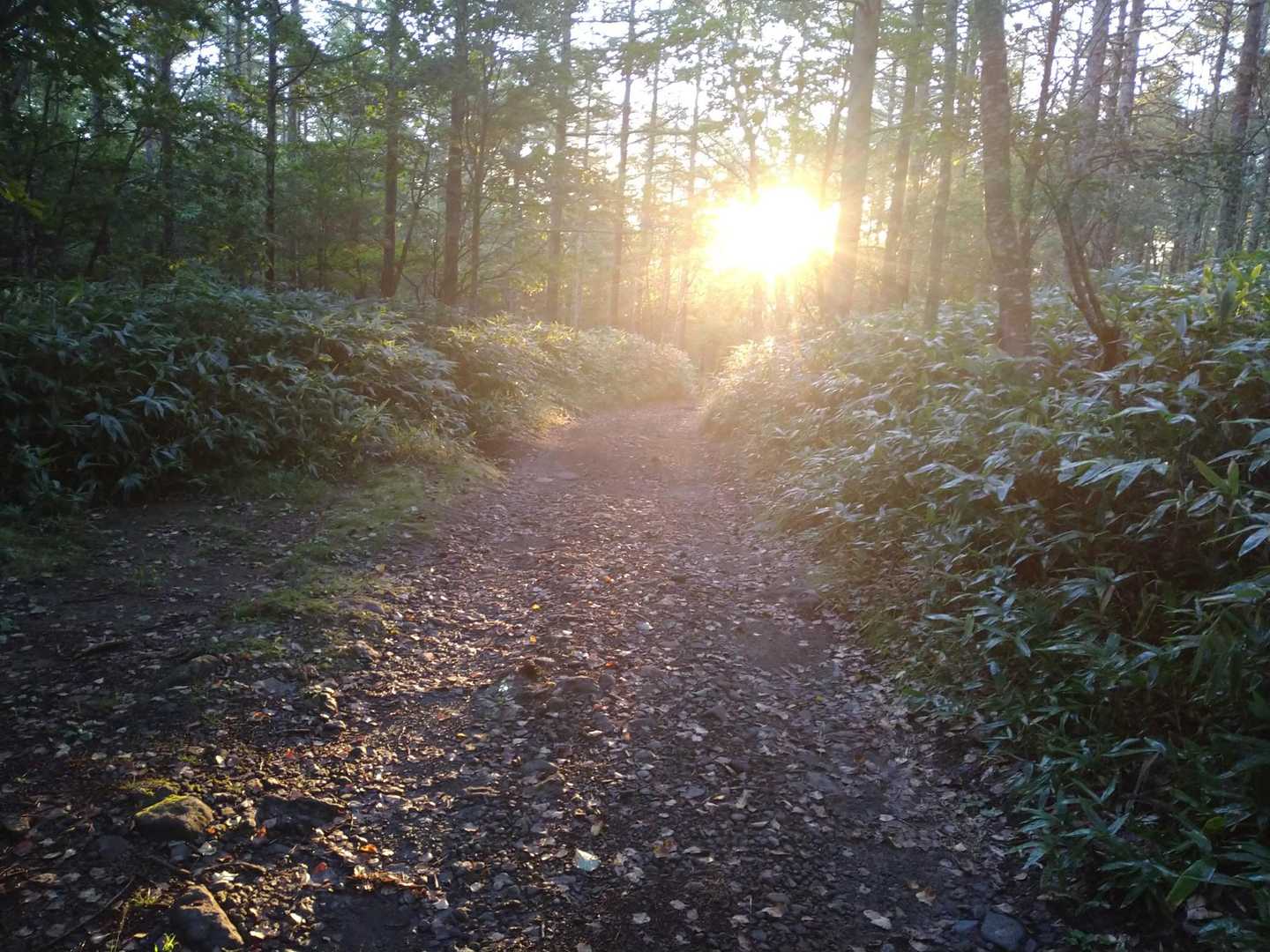 ☀が出てきた✌️