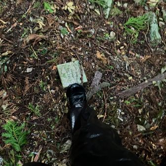 御在所山　山頂三角点