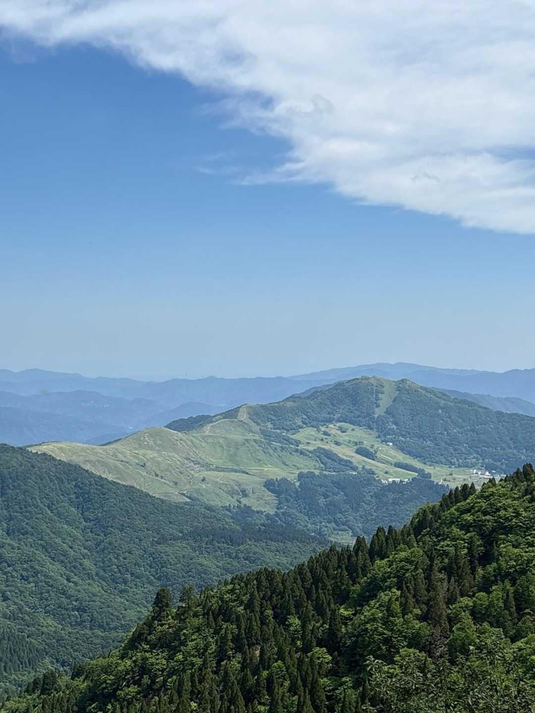 ハチ高原