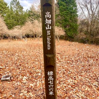 高畑山🙌
とても開けた場所で休憩🥯