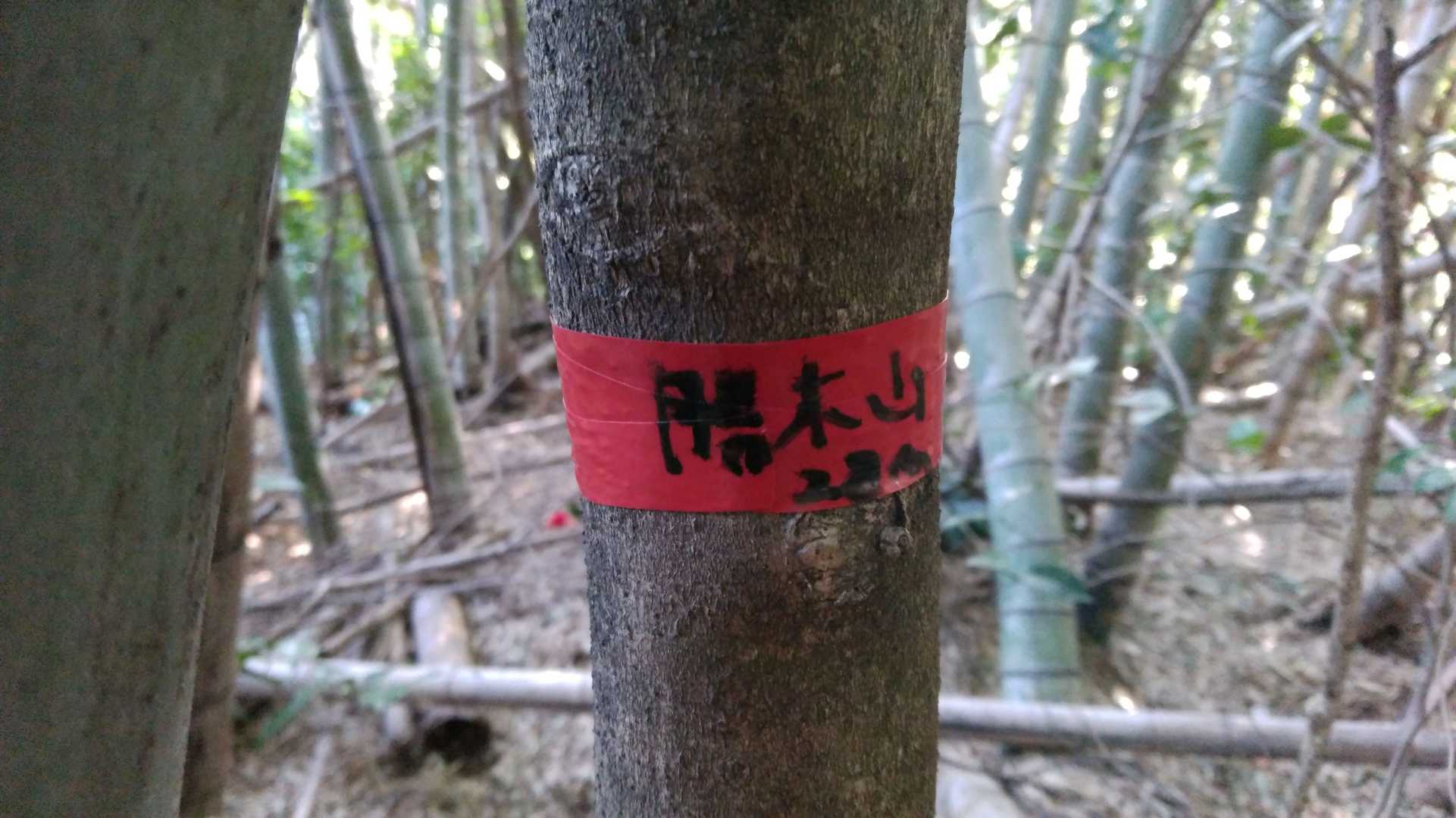 勝木山　頂上。