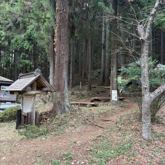 梨の木平登山口