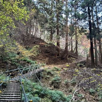 まだ明るいです🍀