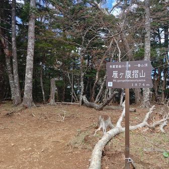 雁ヶ腹摺山山頂