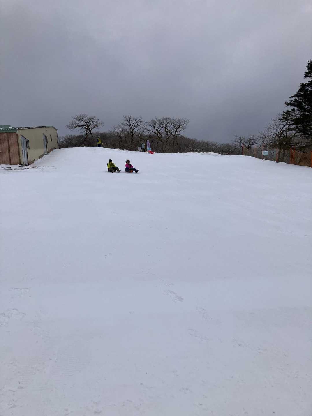 撮ってくれると…