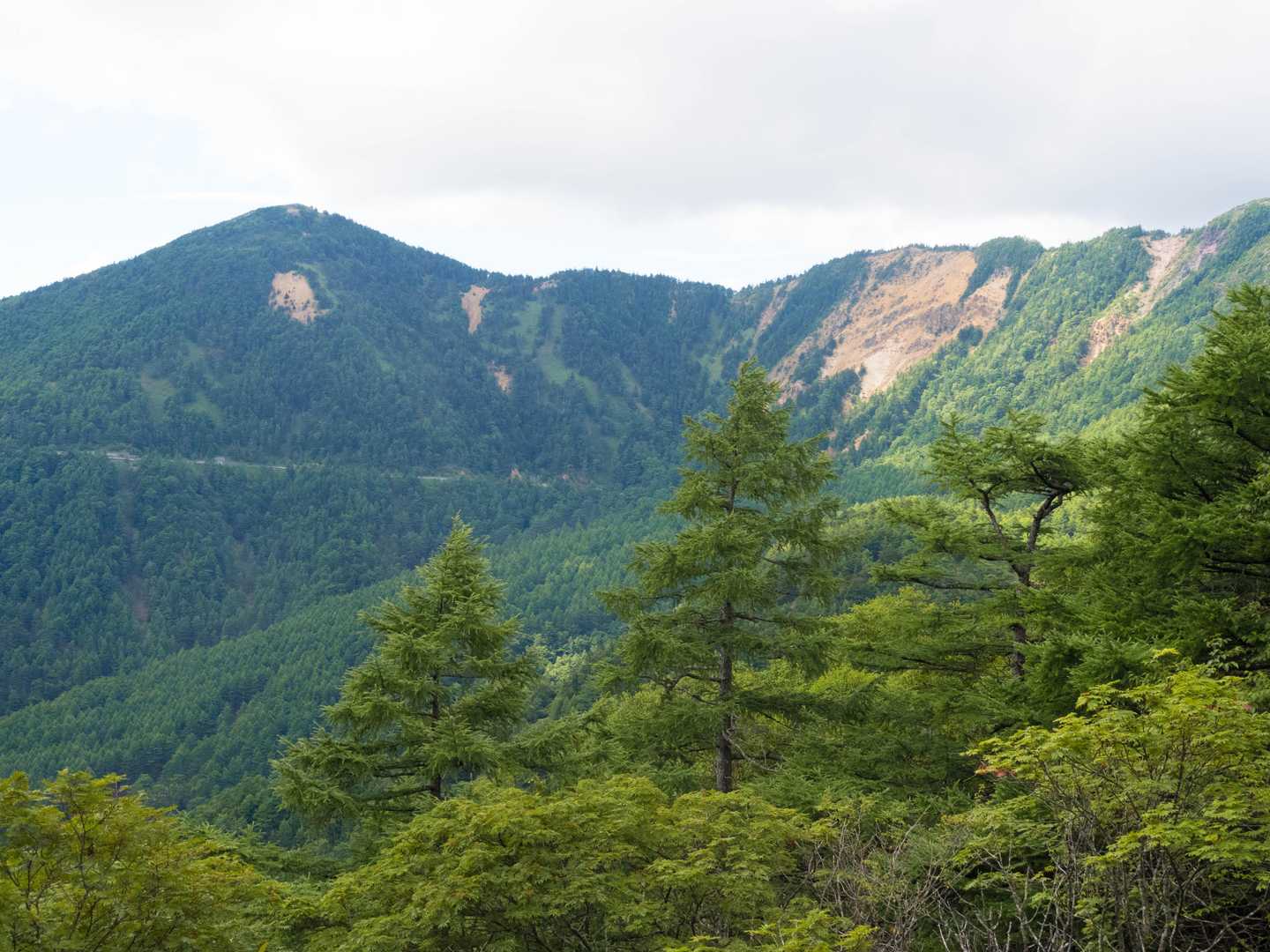 車坂峠-高峰山 周回コースの写真