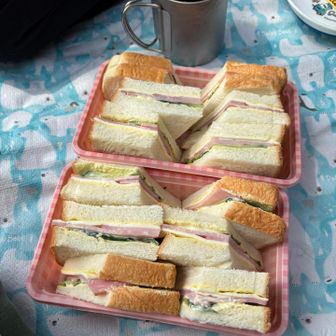 山ランチはサンドイッチ🥪
