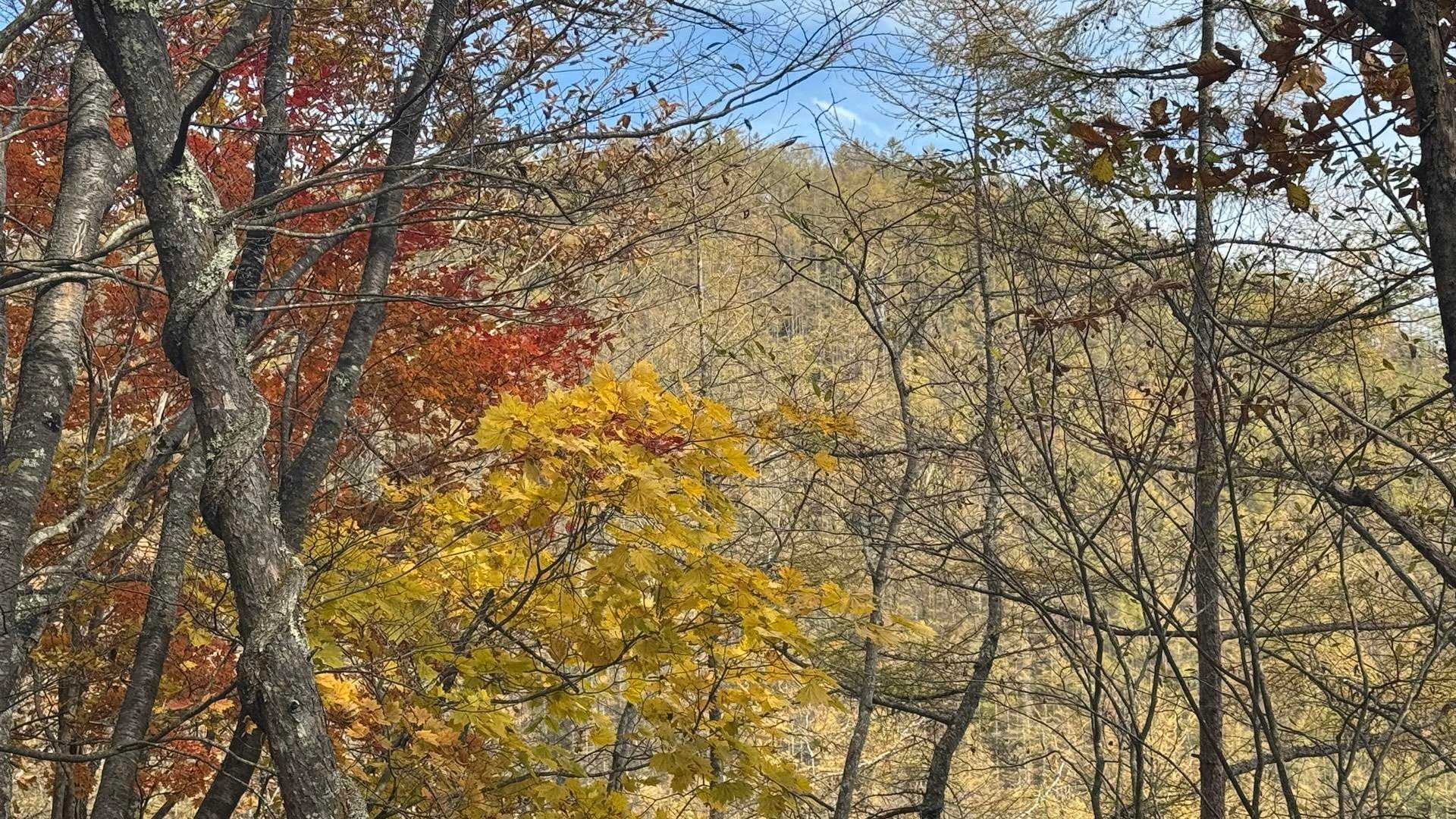幕岩の眺めを堪能したら、下山します。
紅葉の向こうに小楢山🏔️
