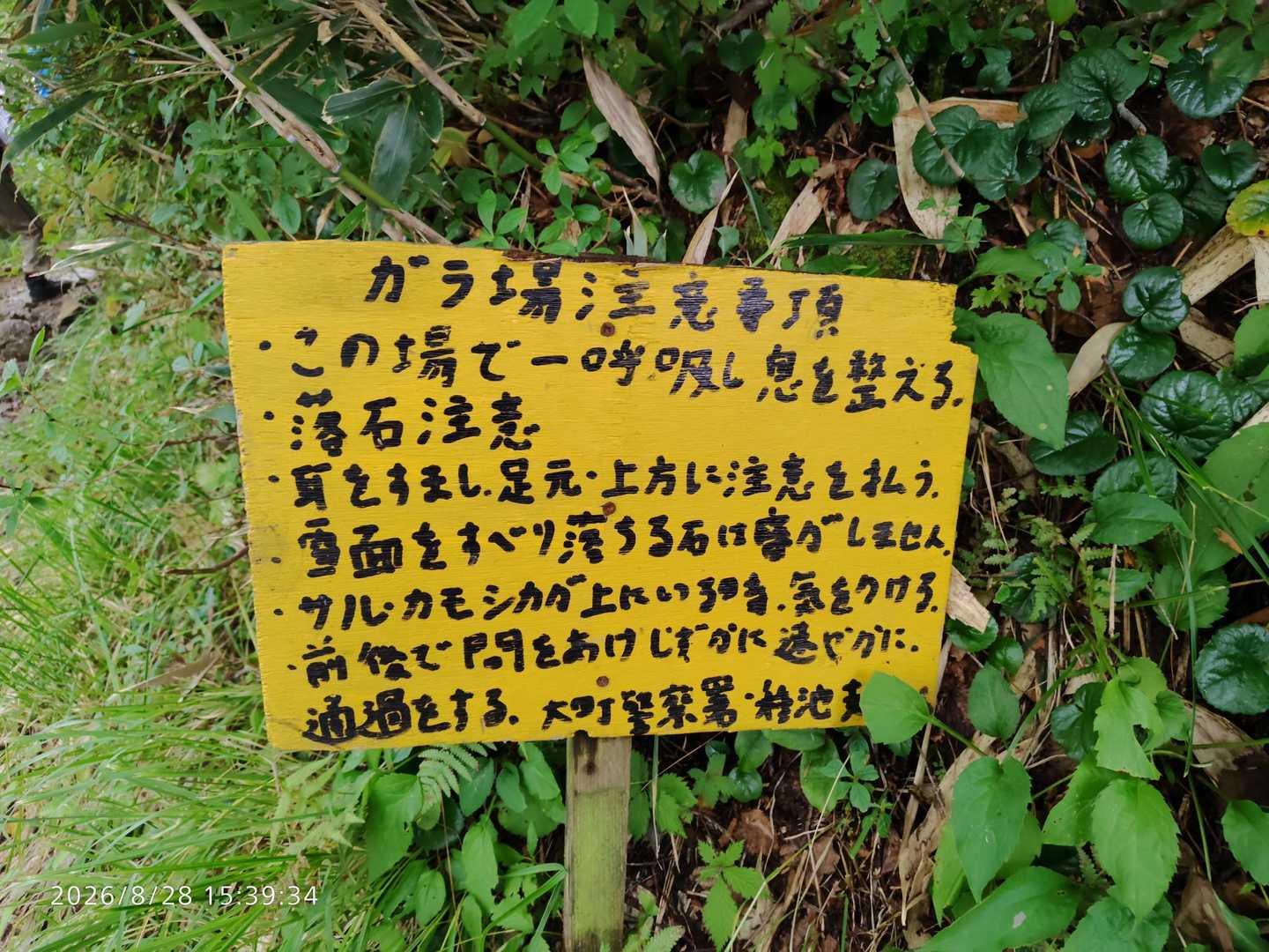 鹿島槍ヶ岳縦走 | 国内で希少な現存氷河を抱き、後立山連峰を代表する秀麗な双耳峰の写真