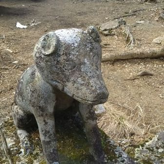 おおかみちゃん