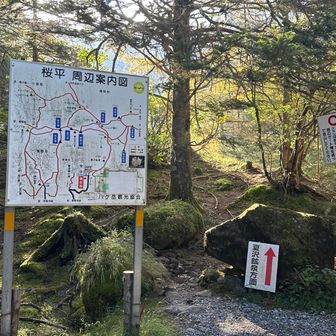 桜平登山口
