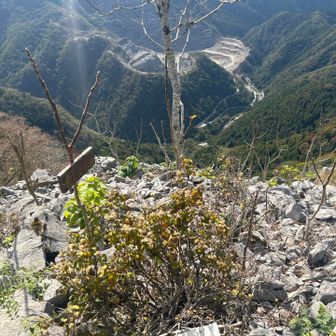 倉骨山　山頂