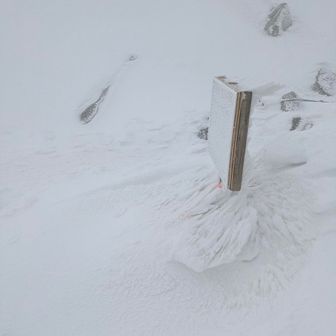 この辺本来雷鳥スポットで探そうとするけど爆風で声もきこえない…岩影みようにも岩みえない…
