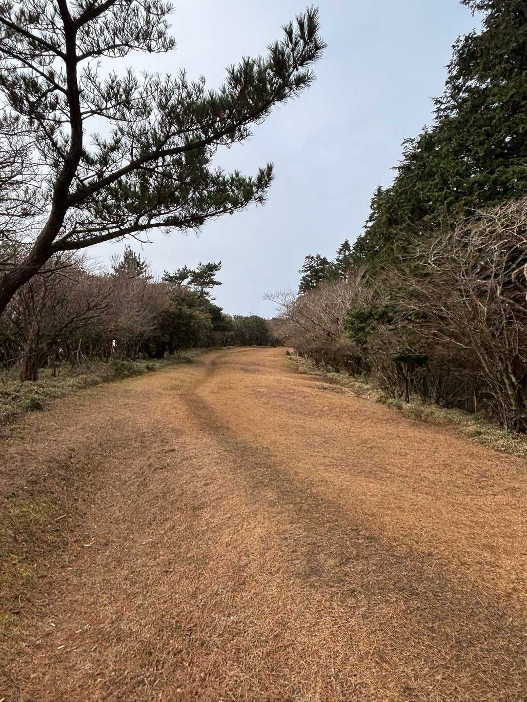 ⛳️ゴルフ場の
フェアウェイみたいな道を進む
その名も我ら
『プロゴルファー猿コンドル隊🦅』
もはや猿だかコンドルだか
何が何だかわかりませんよ😵‍💫

黙って歩けっ👊💢
