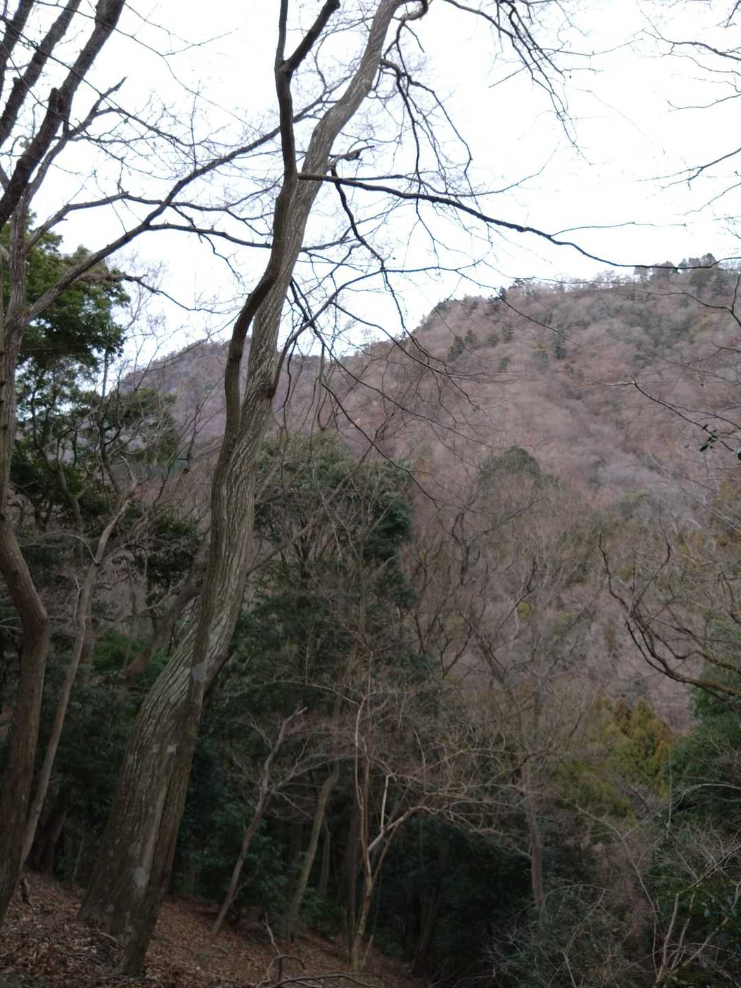 だいぶ雲☁が多いな。ちょっと薄暗いです。