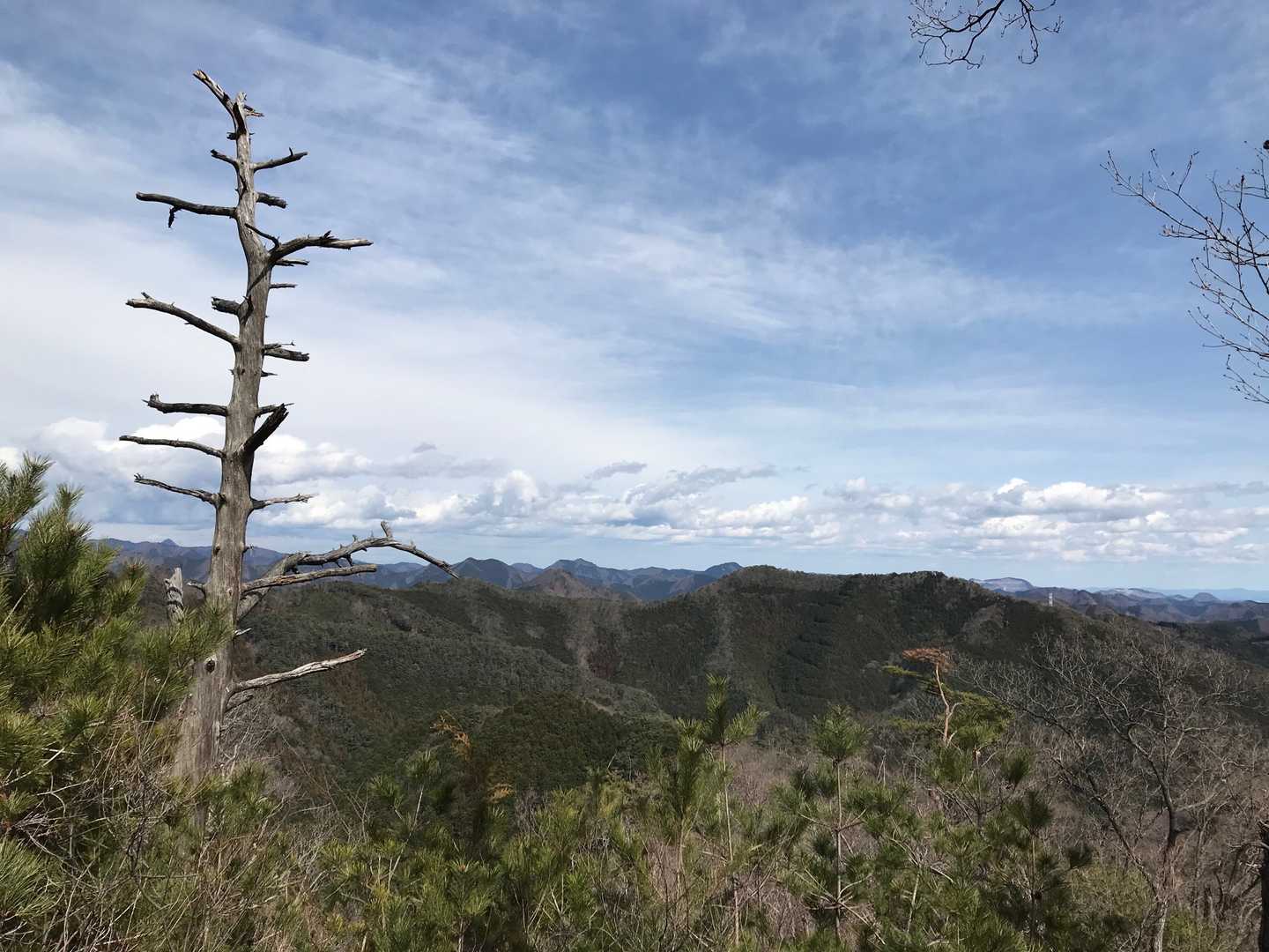 小俣北町バス停-仙人ヶ岳-知ノ岳-宗の岳-猪子山 周回コースの写真
