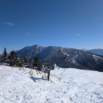 根子岳再度とうちゃこ