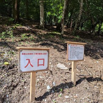 ぬ…ルートが変わってる。鉄塔ともおさらばです。