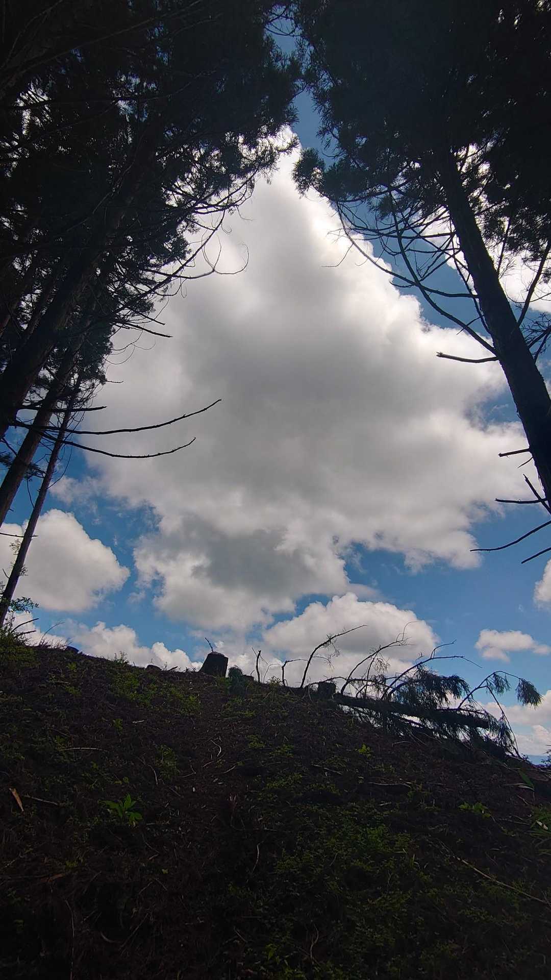 石ヶ峠-大月山 往復コースの写真
