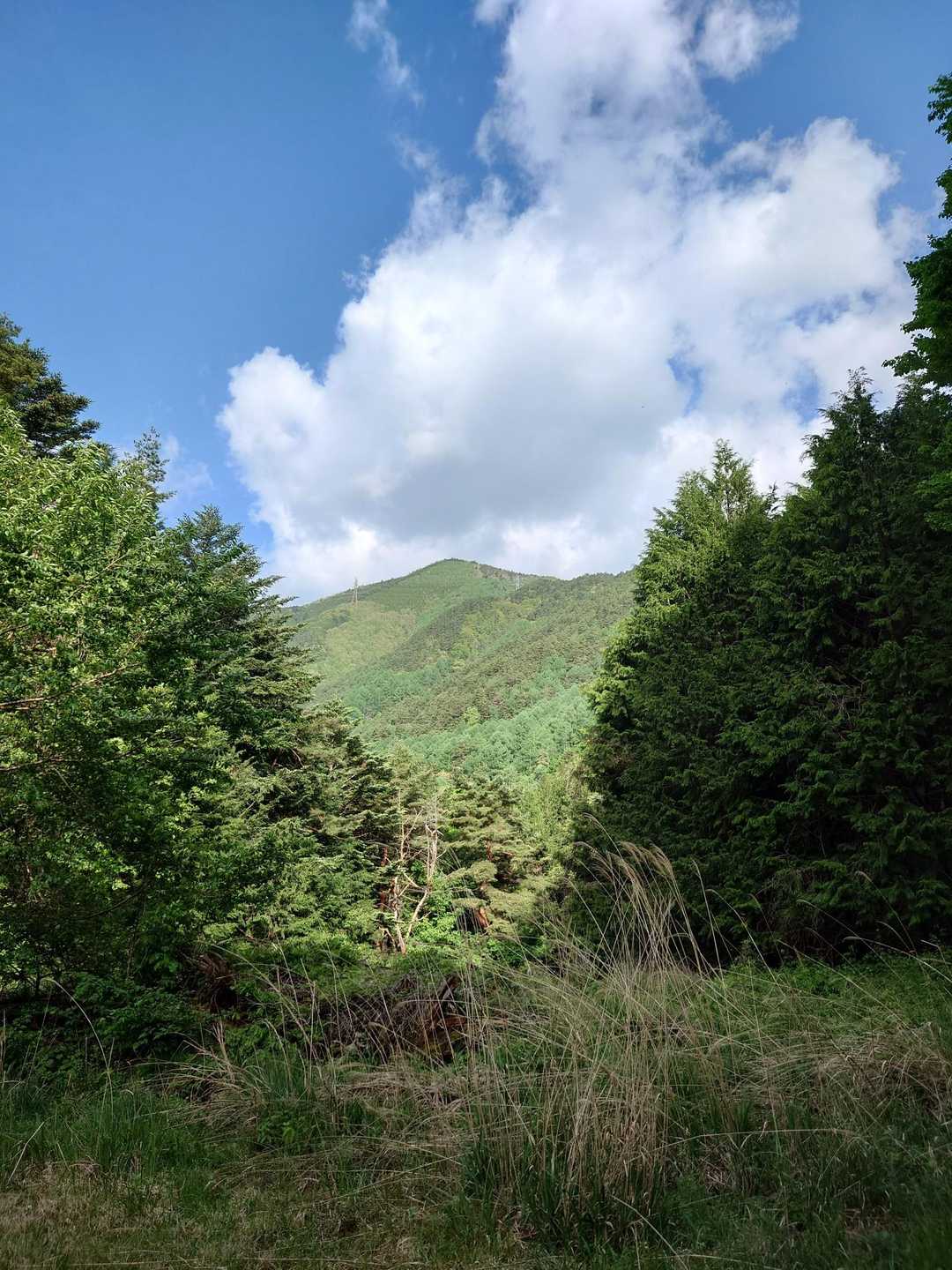 金松寺山登山口-金松寺山-天狗岩 往復コースの写真