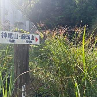 神尾山登山口