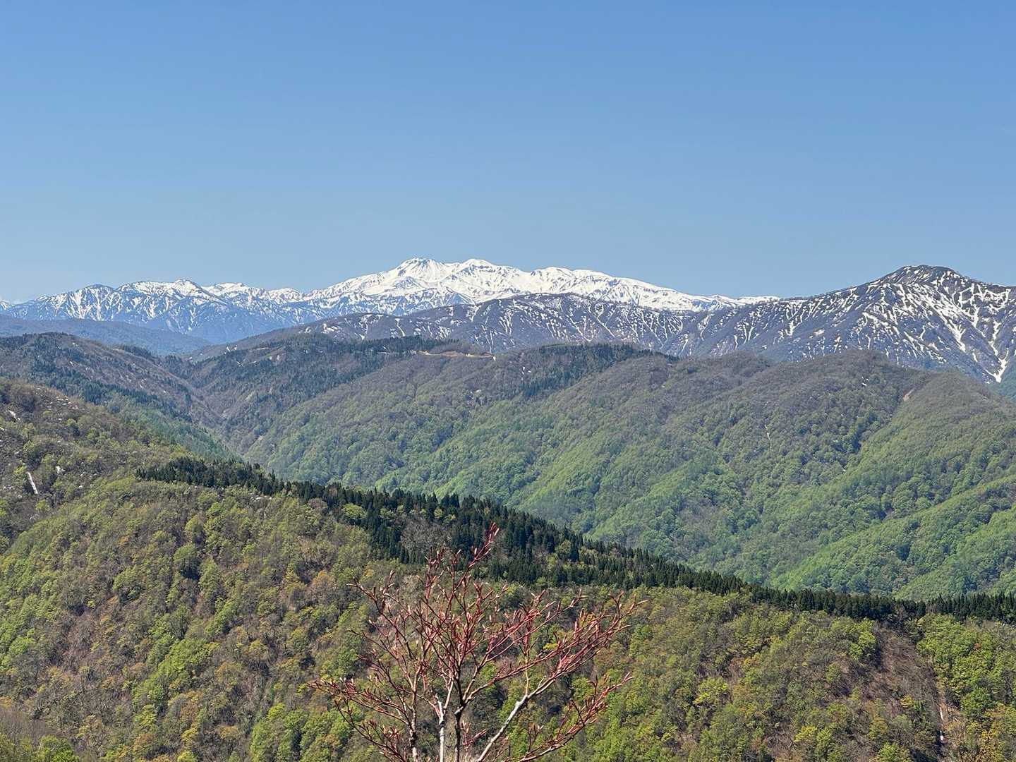 栃谷登山口-片折岳-金剛堂山 往復コースの写真