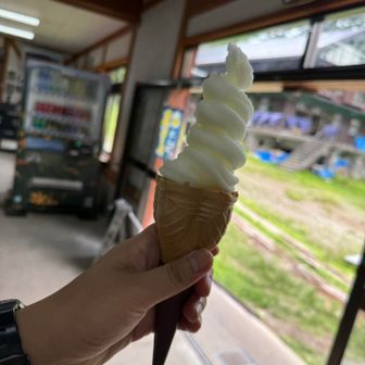 ご褒美ジェラート🍦、私はゆず。