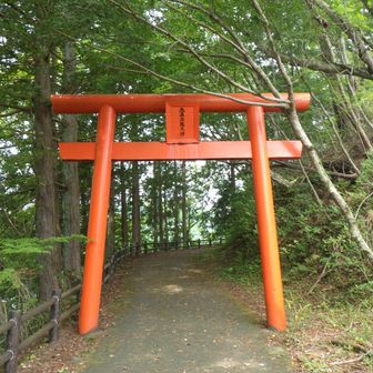 鳥居をくぐって