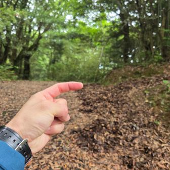 右へ登る