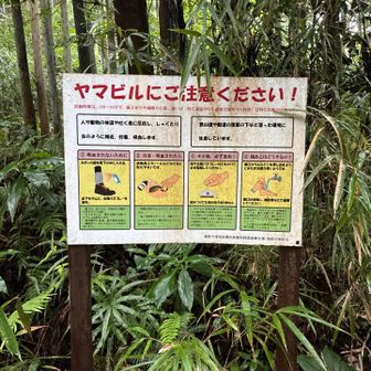 🪱塩で、必ず退治して下さい！と表記してます。おかげさまで目撃しなかったと思います。