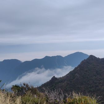 内山、鞍ケ戸、鶴見岳に雲海がかかってる