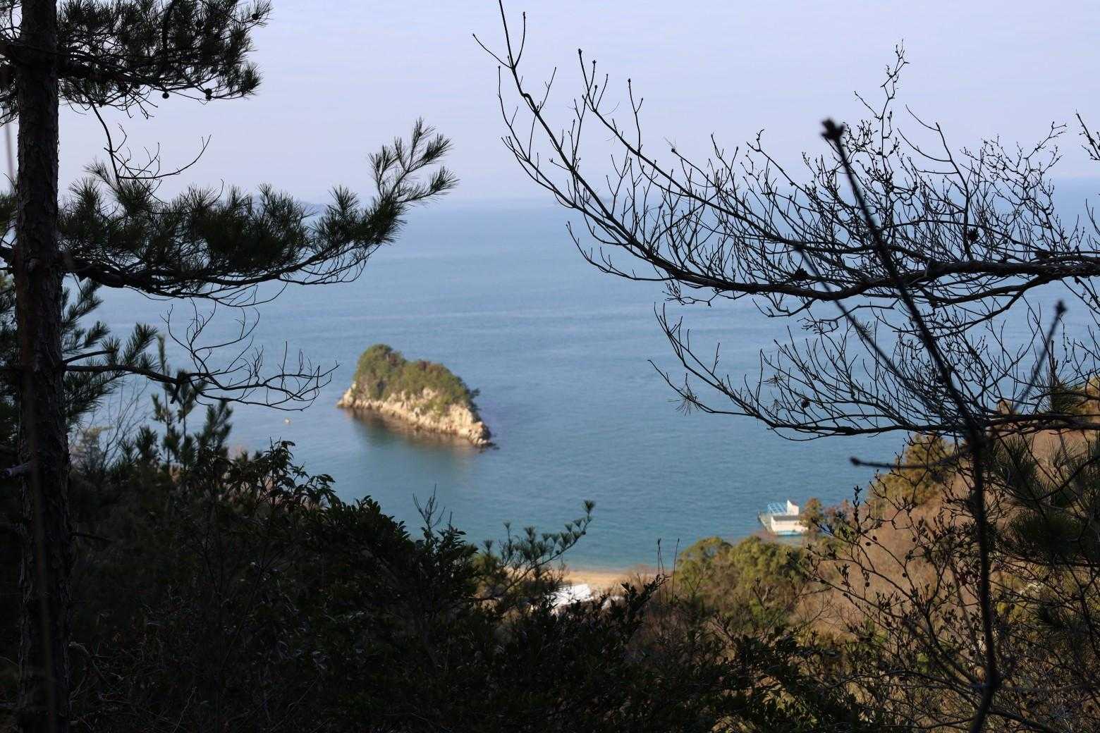 登山口に向けて引き返しながら写活📷