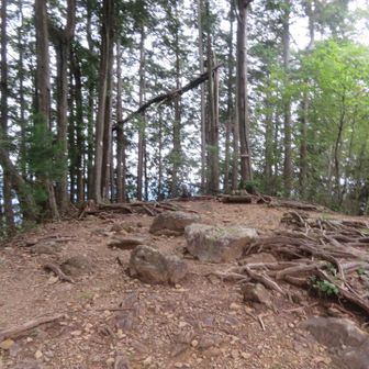 奥の院山頂ー。少し開けてる