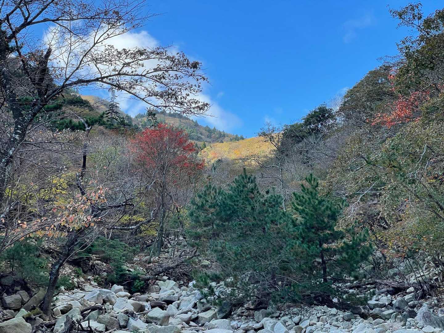 朝明登山口-根の平峠-杉峠-雨乞岳 往復コースの写真