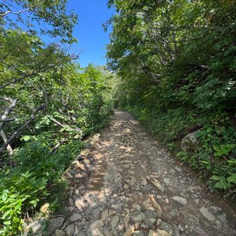 くろがね小屋の場所からはずっと林道(新道)歩きです