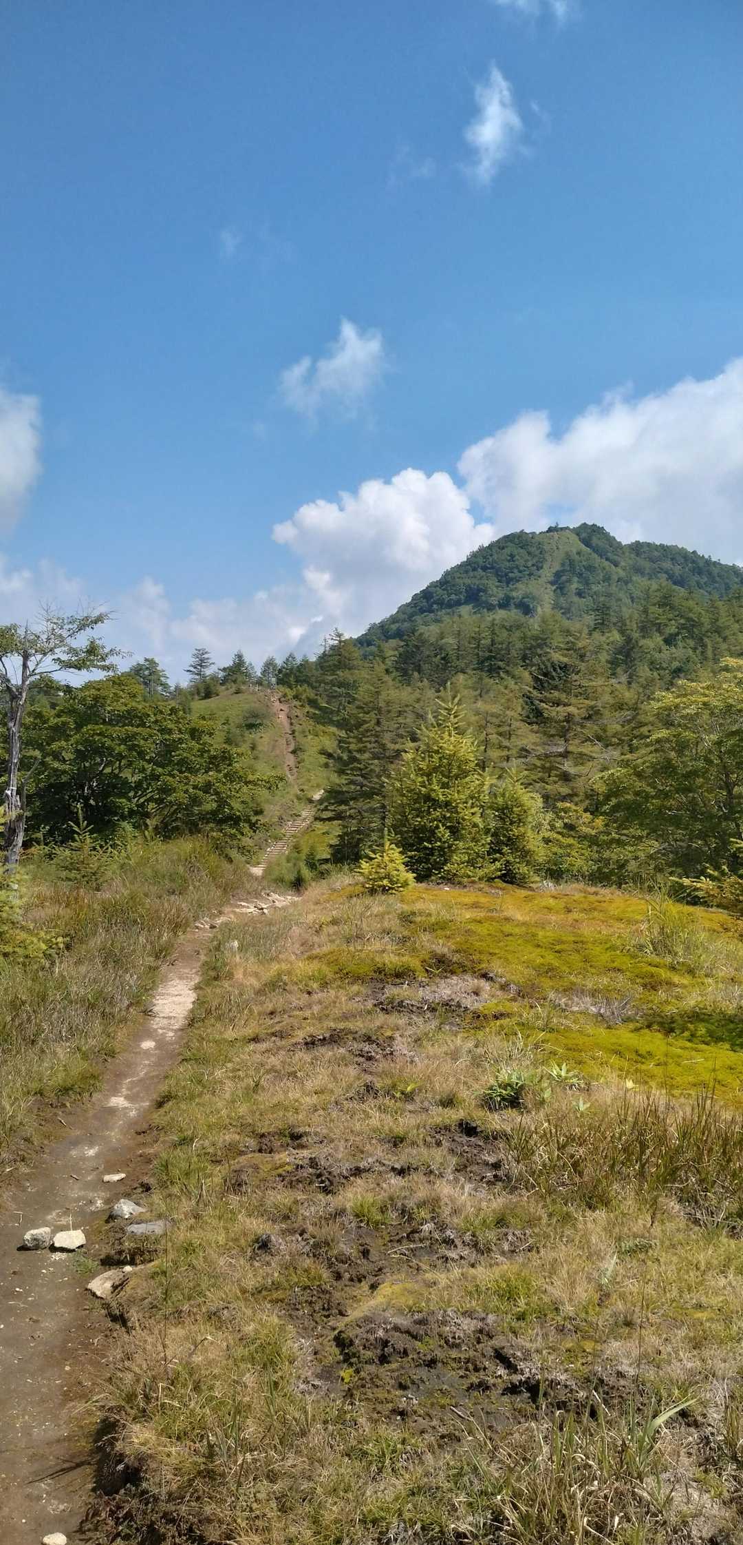 小さな分水嶺とその先に大きな笠取山。