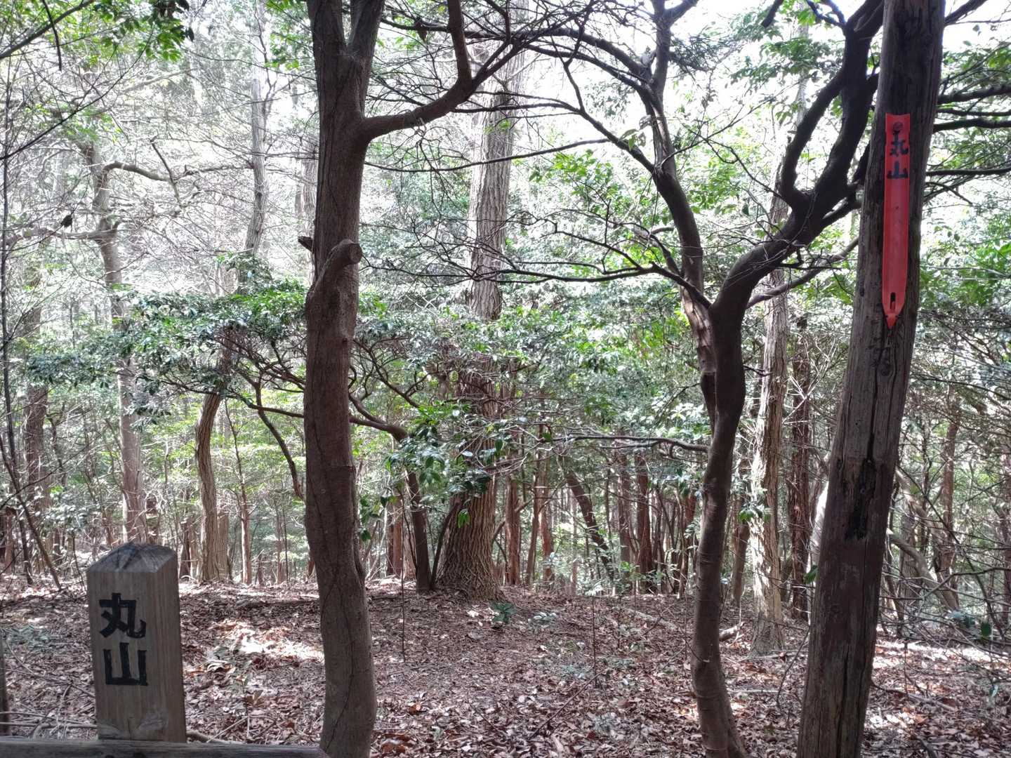 鳥川アルプス 周回コースの写真