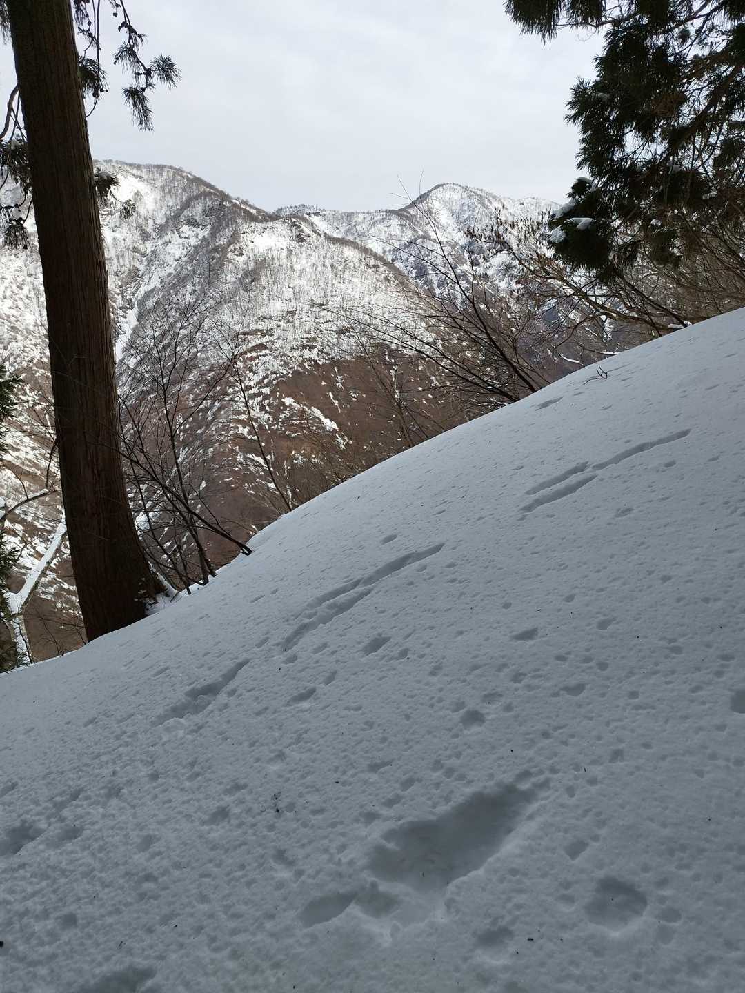 とにかく急登が続くのです